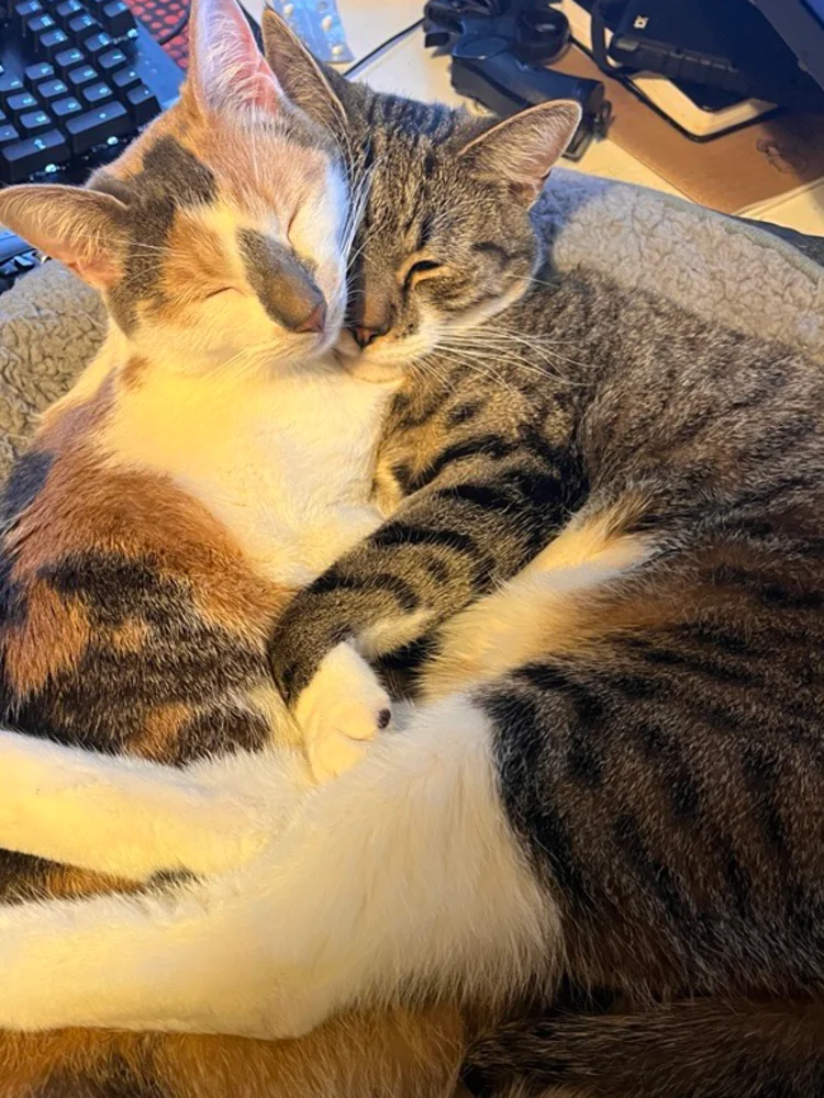 Echo & Pan
