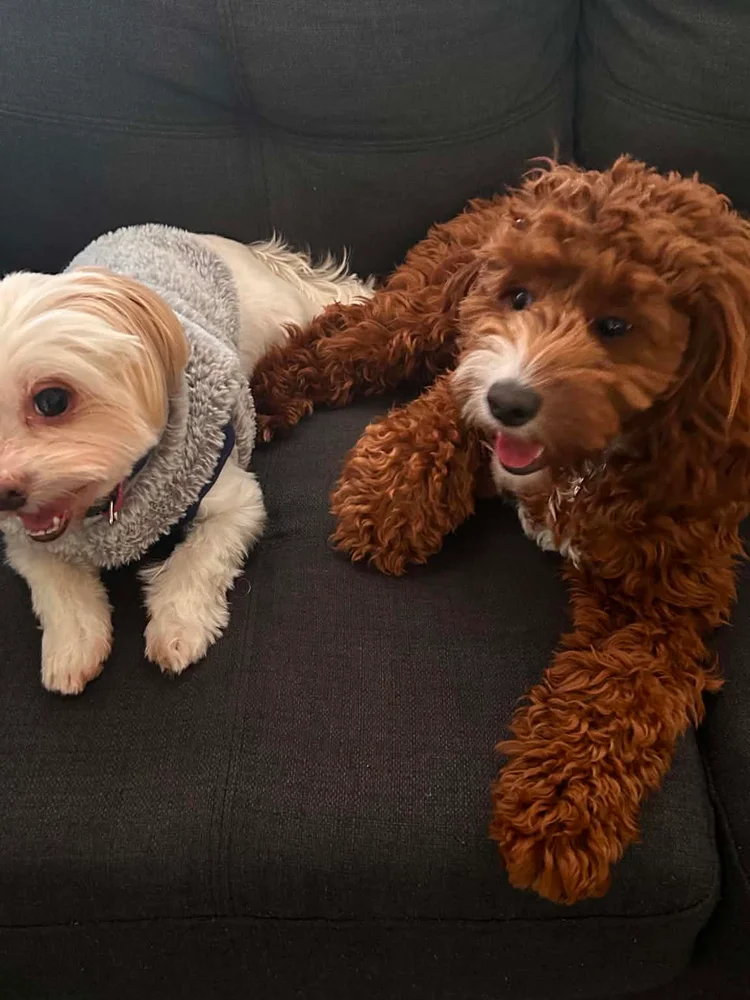 Rosie & Ellie
